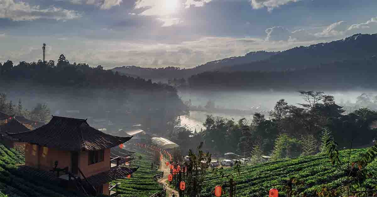 কম খরচে দার্জিলিং ভ্রমণ